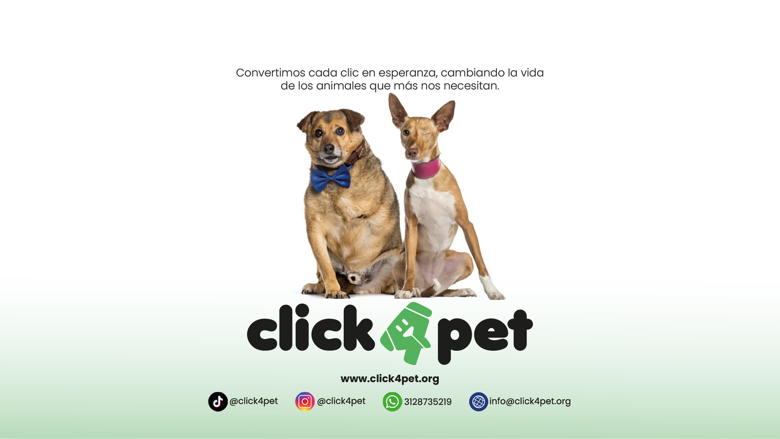 Click for Pet